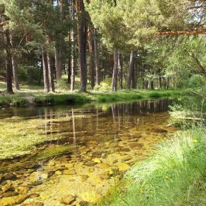 Zona de baño (exterior) vacía